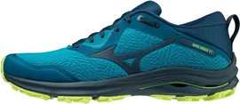 Кроссовки MIZUNO WAVE RIDER TT, J1GC2132-84
